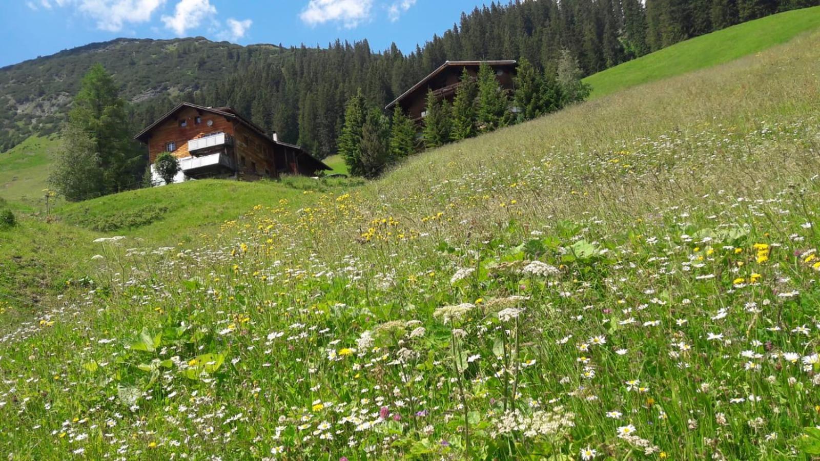 Appartamento Haus Sonnenschein Warth  Esterno foto